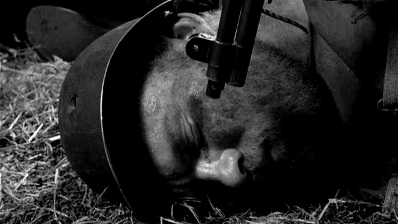 Photo 3 du film : J'ai vecu l'enfer de coree