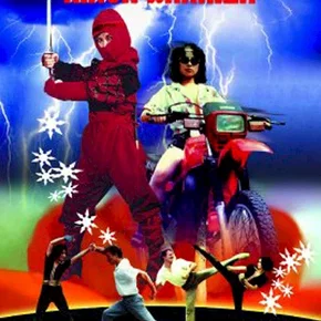 Photo du film : Golden ninja warrior
