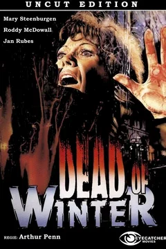 Affiche du film Froid comme la mort