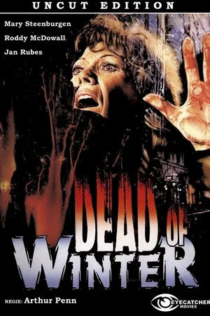 Affiche du film : Froid comme la mort