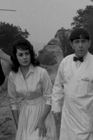 Affiche du film : Les trois stooges contre hercule