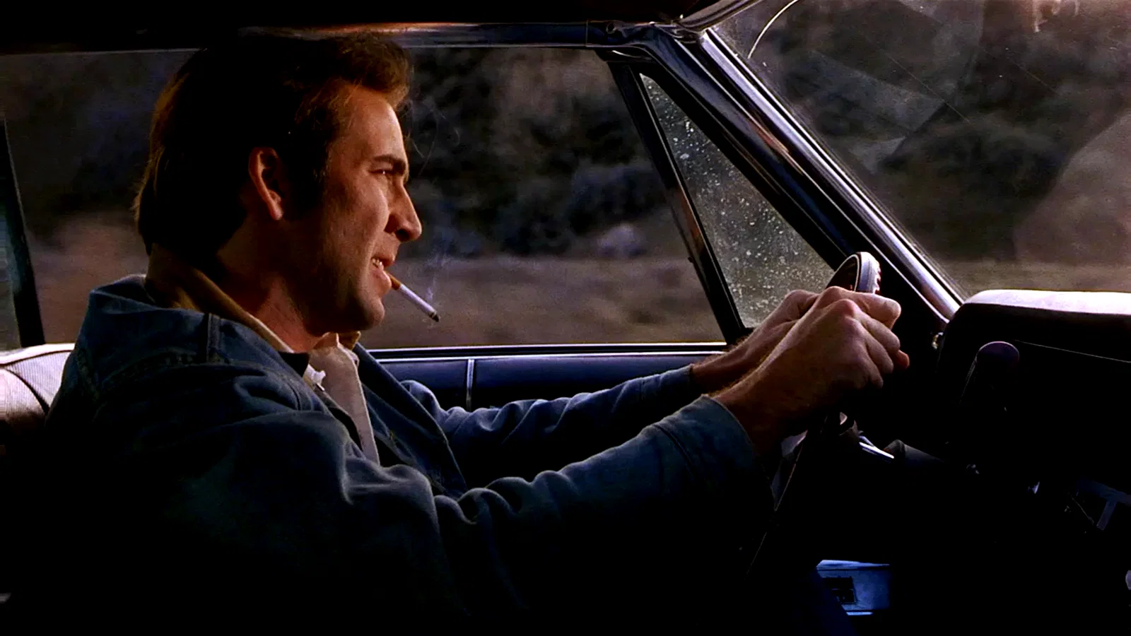 Photo 6 du film : Red rock west