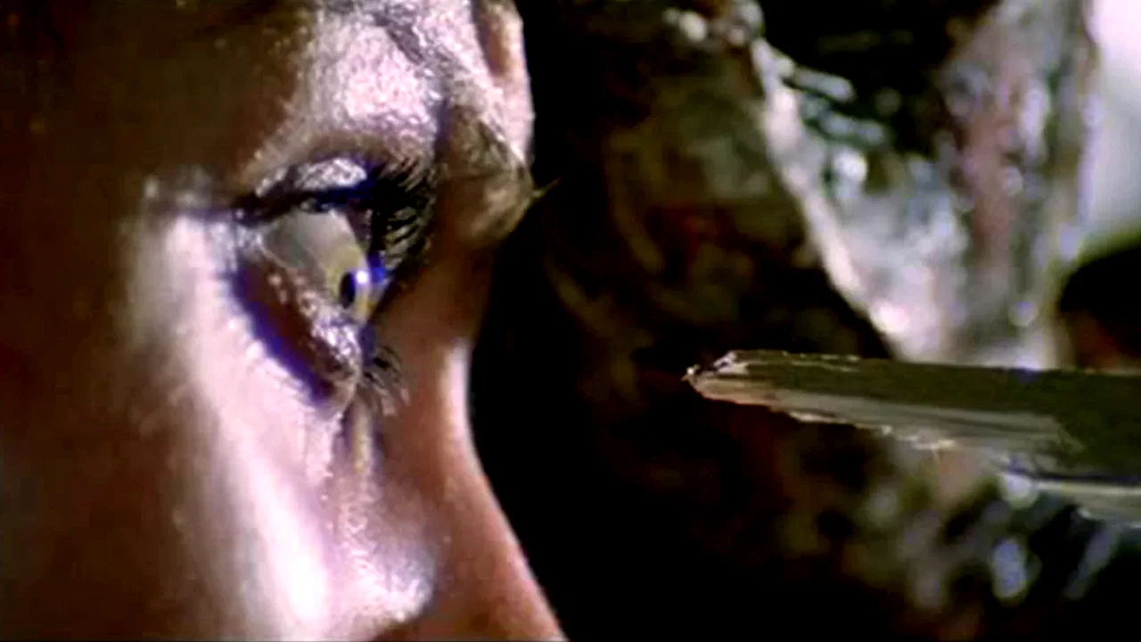 Photo 4 du film : L'Enfer des zombies