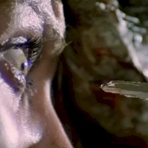 Photo du film : L'Enfer des zombies