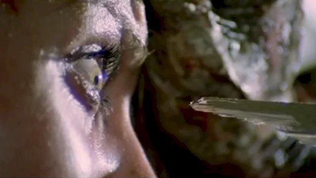 Photo 4 du film : L'Enfer des zombies