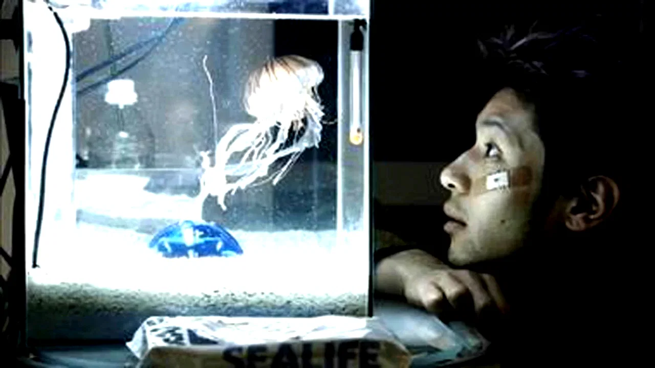 Photo 2 du film : Jellyfish