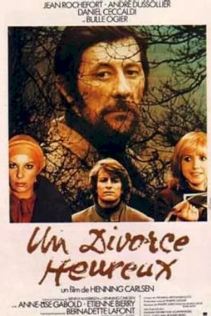 Affiche du film : Un divorce heureux