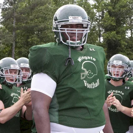 Miniature photo du film : The Blind Side