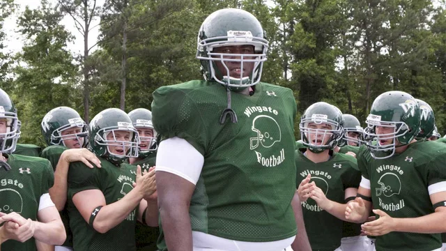 Photo du film : The Blind Side
