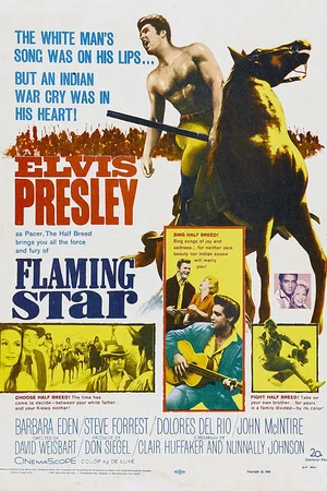 Affiche du film : Les rodeurs de la plaine