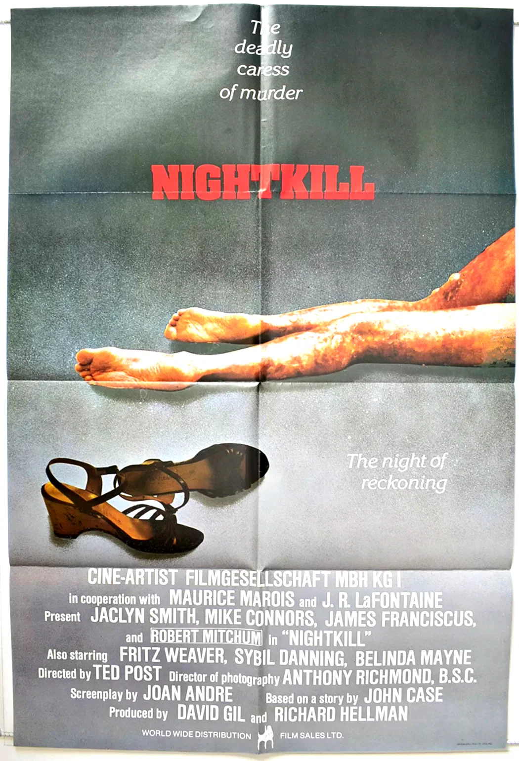 Affiche du film : Nightkill