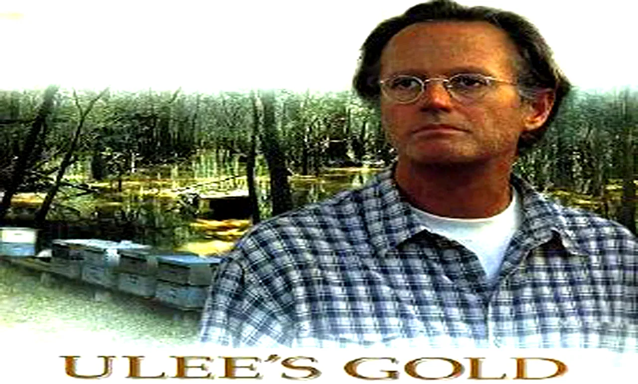 Photo 2 du film : Ulee's gold