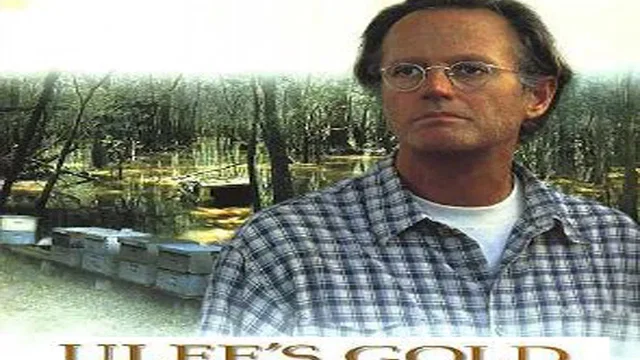 Photo du film : Ulee's gold
