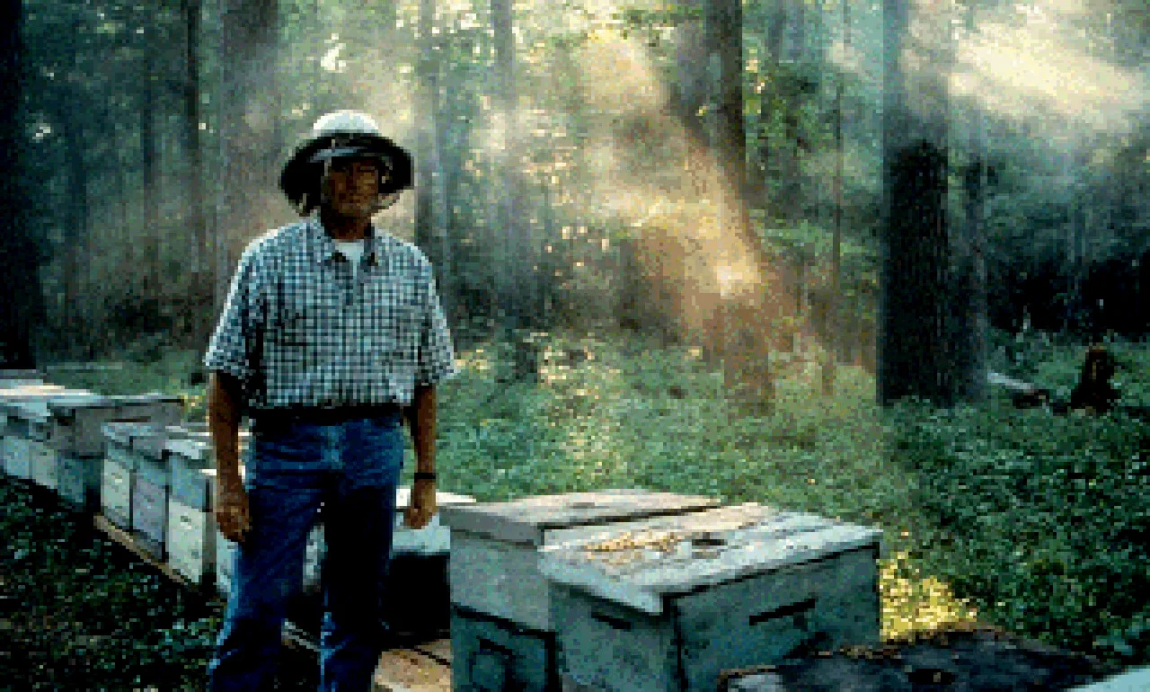 Photo 3 du film : Ulee's gold