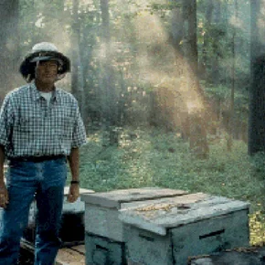 Photo du film : Ulee's gold