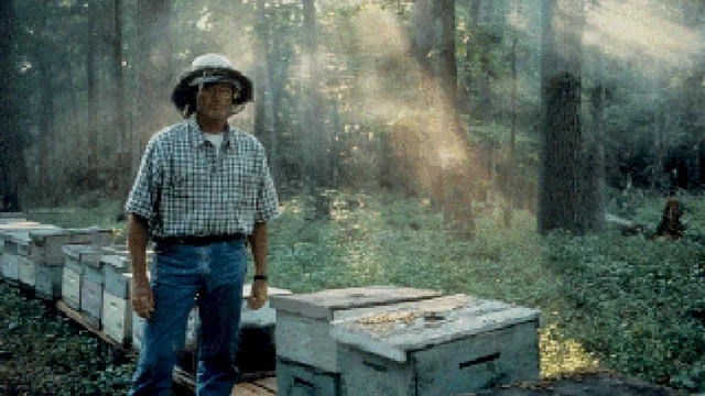 Photo du film : Ulee's gold