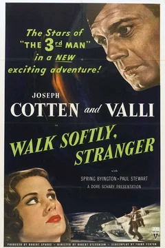 Affiche du film L'etranger dans la cite