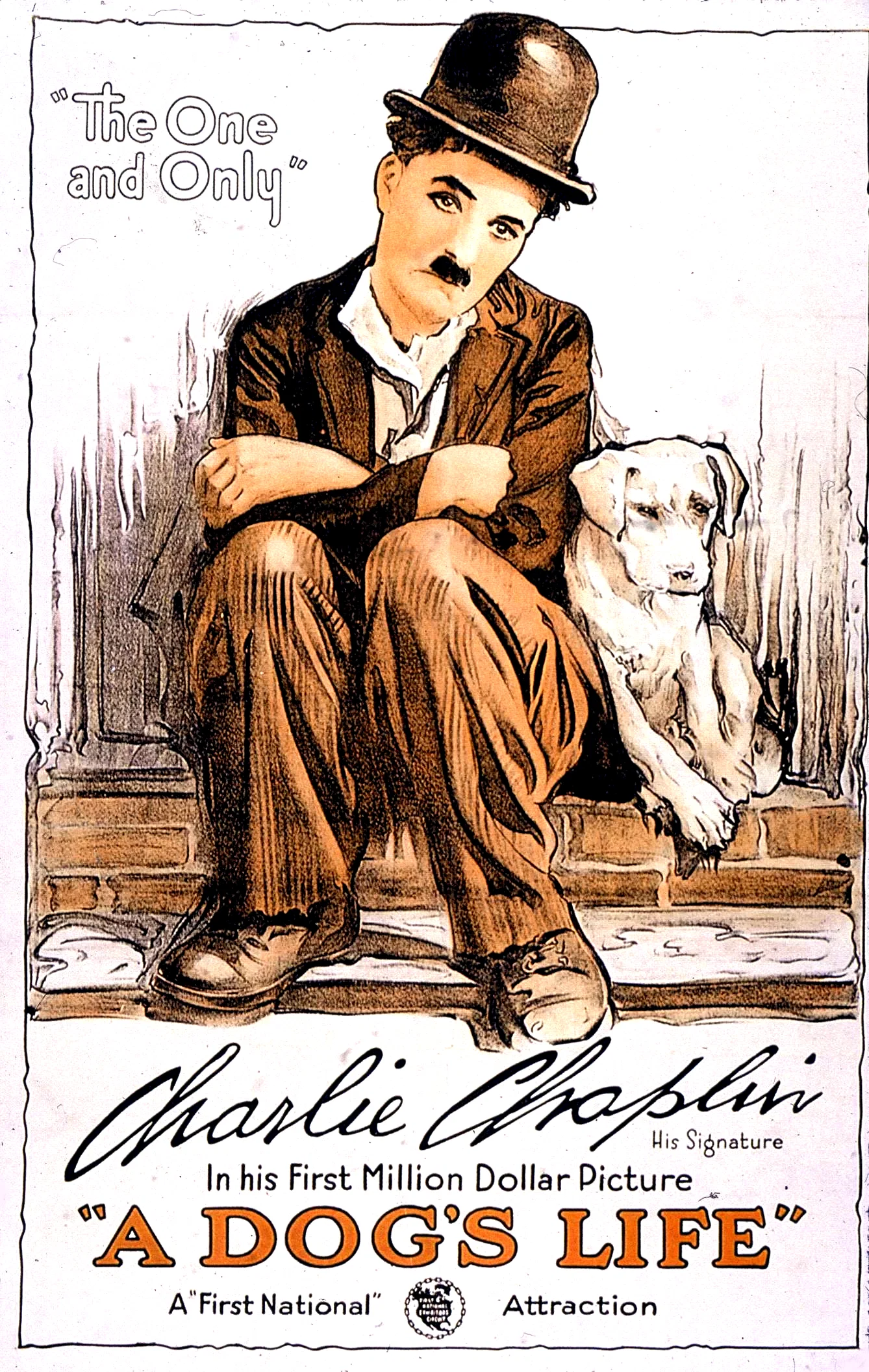 Affiche du film : Une vie de chien