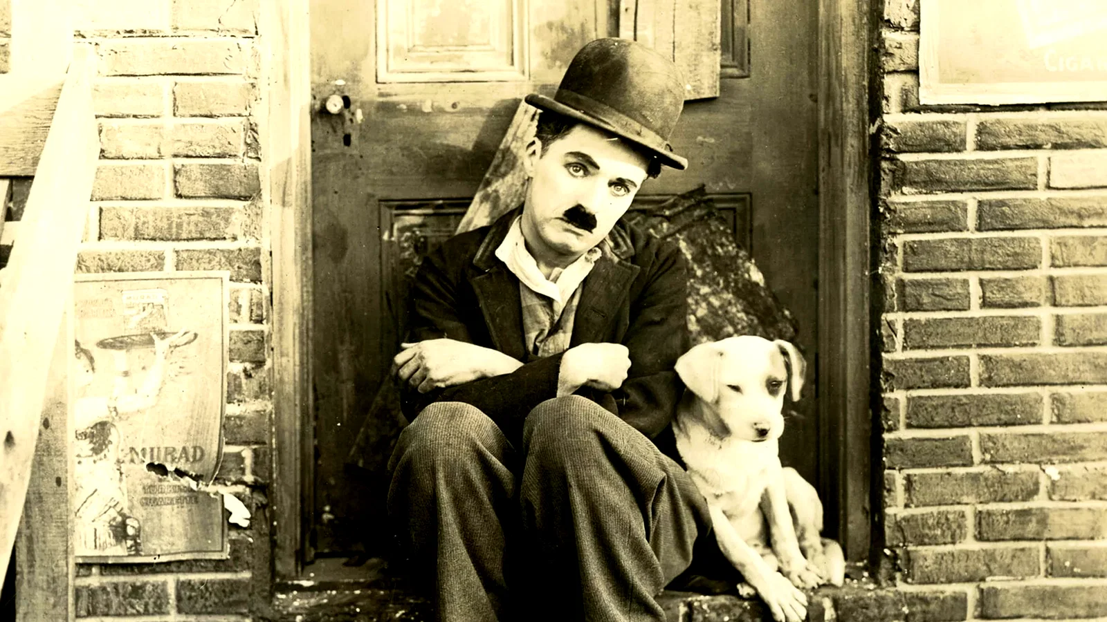 Photo du film : Une vie de chien