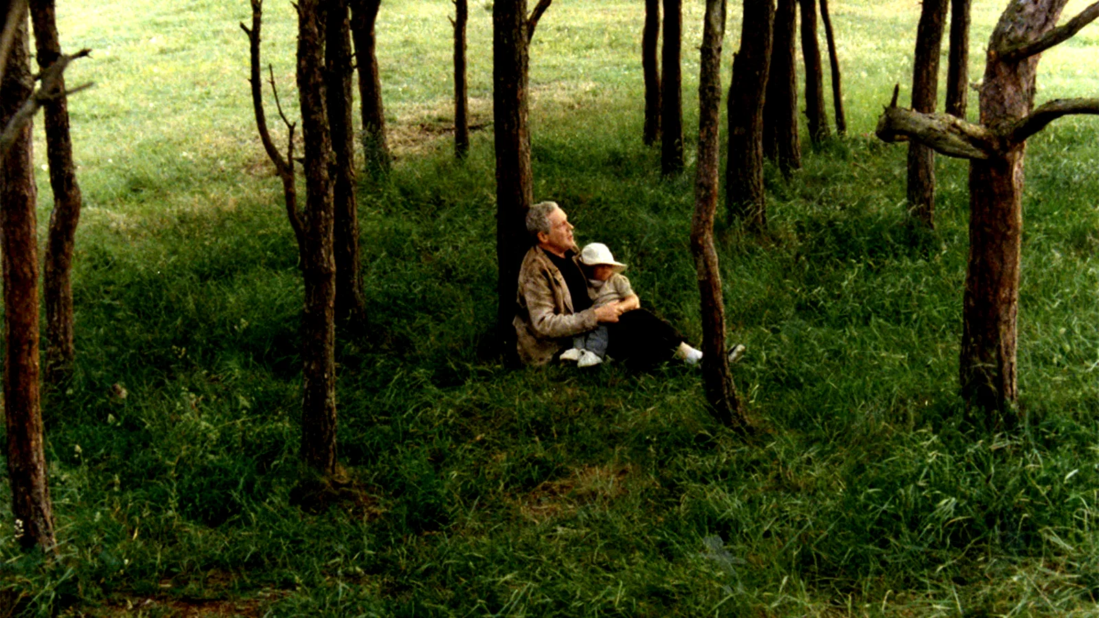 Photo 3 du film : Le sacrifice