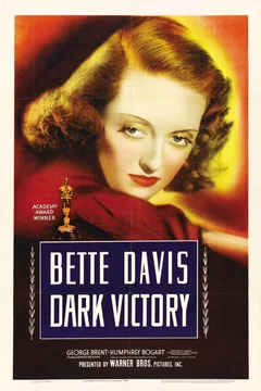 Affiche du film Victoire sur la nuit