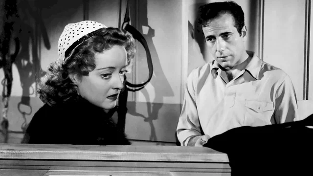 Photo 2 du film : Victoire sur la nuit