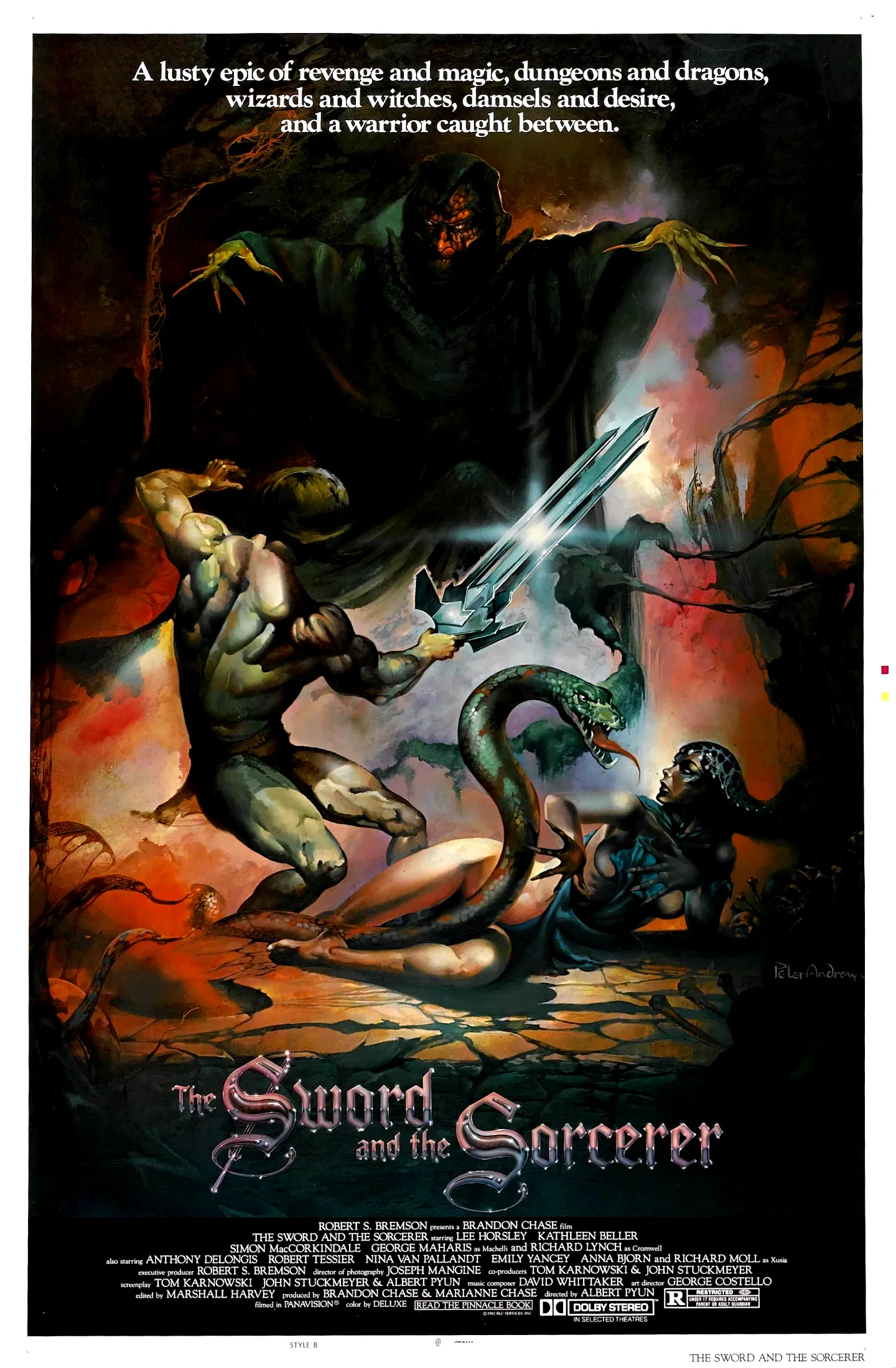 Affiche du film : L'epee sauvage