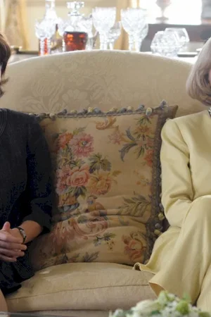 Affiche du film : The Special Relationship