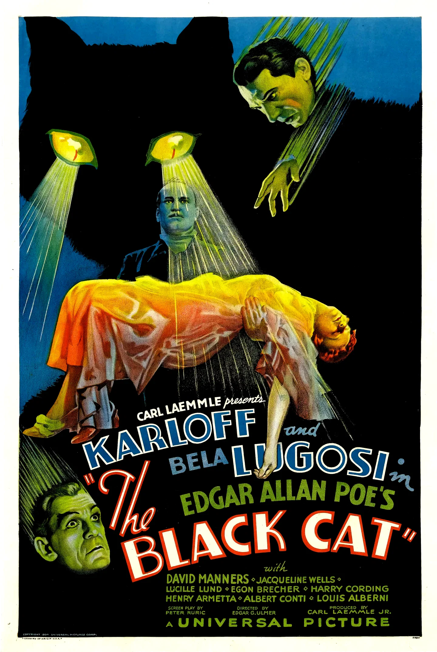 Affiche du film : Le chat noir