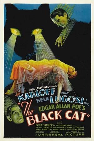 Affiche du film : Le chat noir