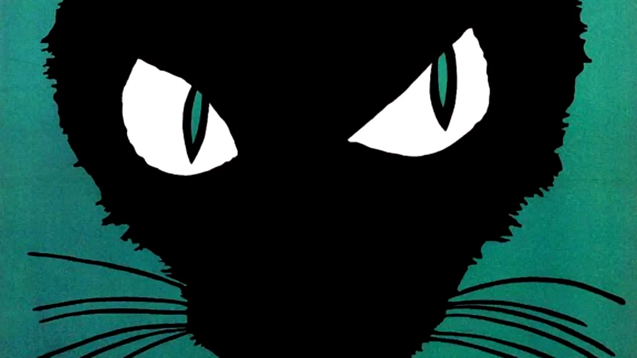 Photo 3 du film : Le chat noir