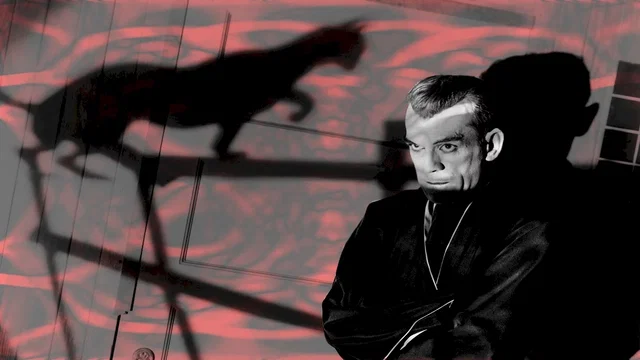 Photo 4 du film : Le chat noir