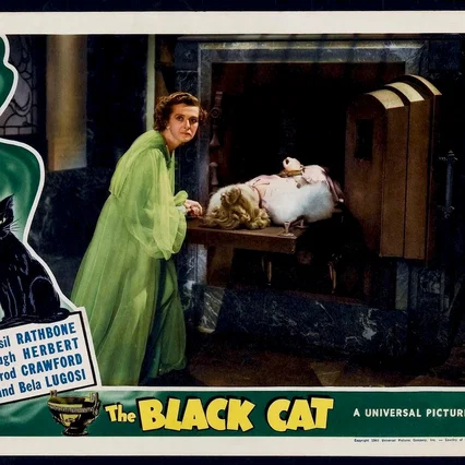 Miniature photo du film : Le chat noir