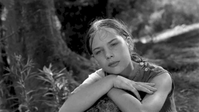 Photo 2 du film : La jeune fille