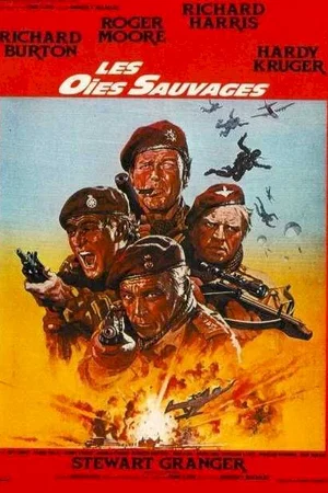 Affiche du film : Les oies sauvages