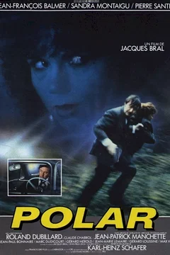 Affiche du film Polar