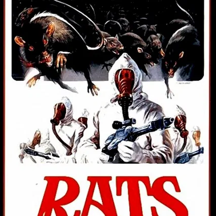 Miniature photo du film : Les Rats de Manhattan