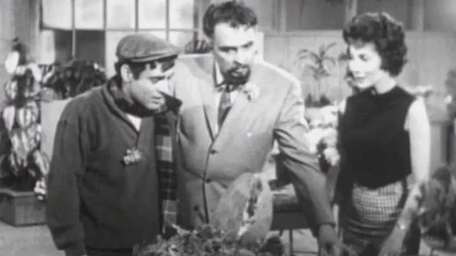 Photo 2 du film : La petite boutique des horreurs