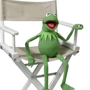 Photo du film : Les muppets
