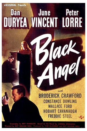 Affiche du film : L'ange noir