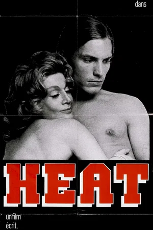 Affiche du film : Heat