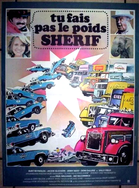 Affiche du film : Tu fais pas le poids sherif
