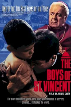 Affiche du film St Vincent