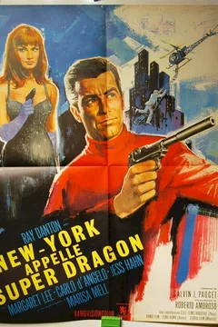 Affiche du film New york appelle super dragon