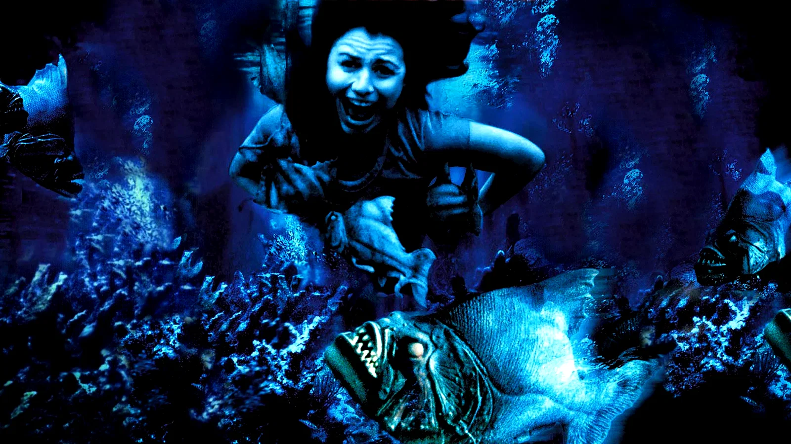 Photo 3 du film : Piranhas
