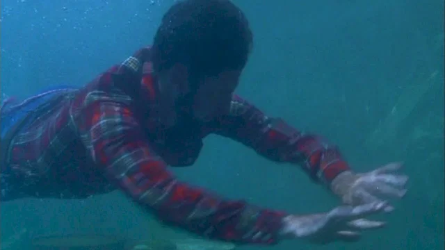 Photo du film : Piranhas