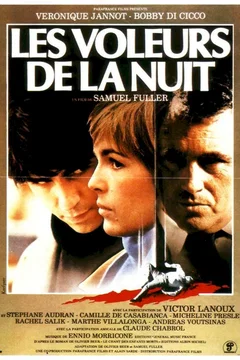 Affiche du film Les voleurs de la nuit