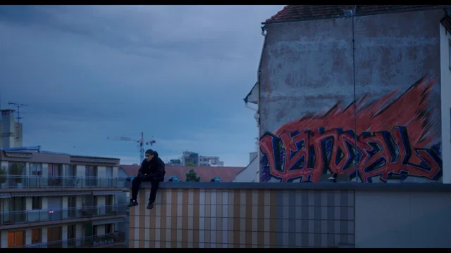 Affiche du film : Vandal