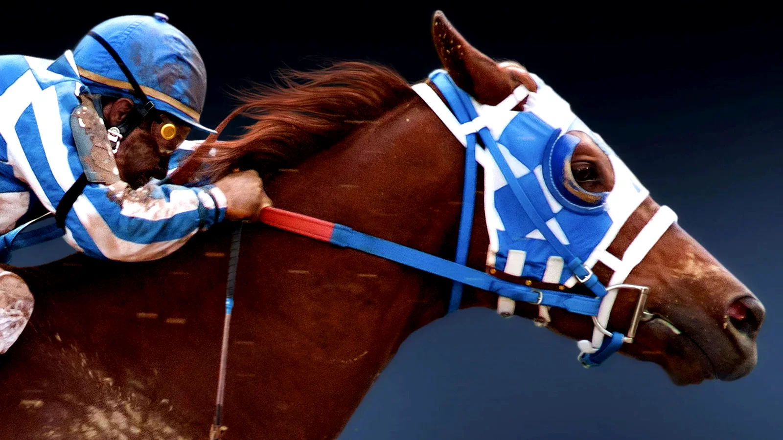 Photo 6 du film : Secretariat