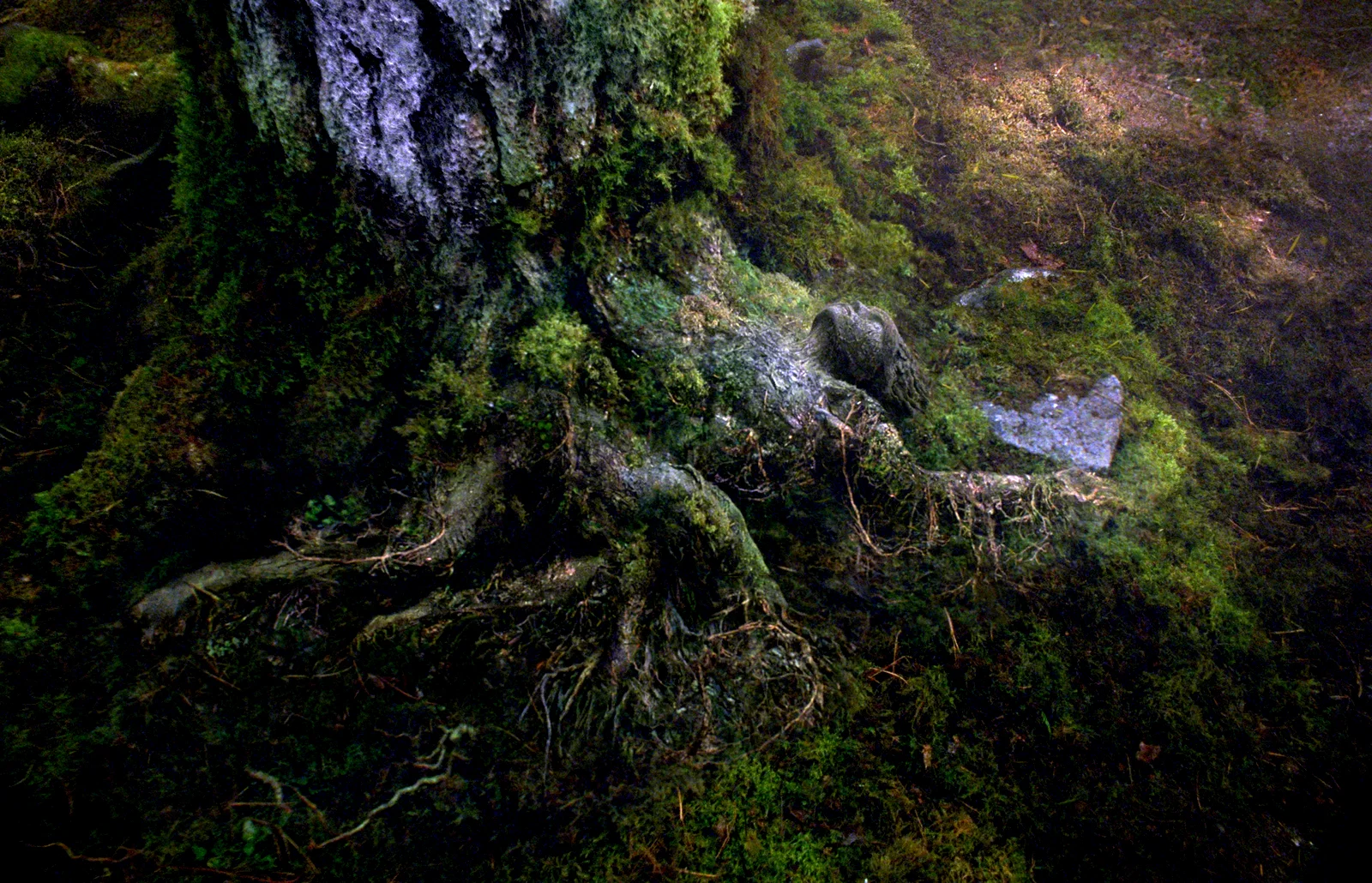Photo 13 du film : Percy Jackson : La Mer des monstres